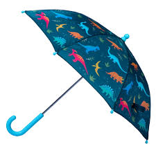 Umbrella & Rainwear